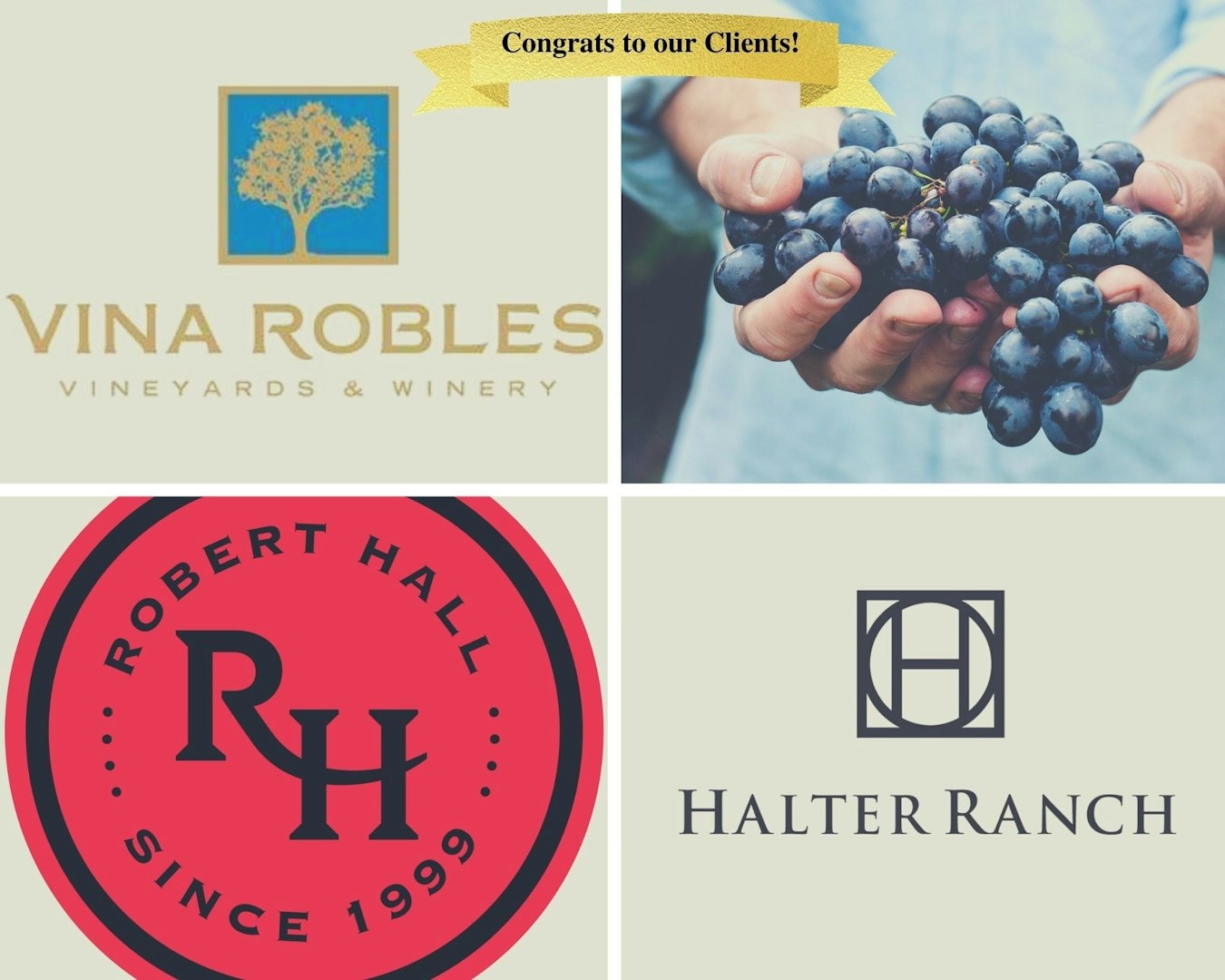 Yellow Wine And Cheese Themed Party Photo Collage